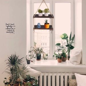 Storage & Organization - 2 Tier Solid Wood Hanging plant Shelves Brand New Storage & Organization - 2 Tier Solid Wood Hanging plant Shelves Brand New